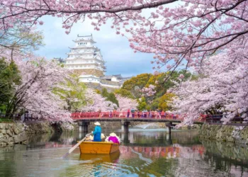 Japan has seen strong international travel demand in recent years, helped by a weak yen and the post-pandemic recovery in global tourism.