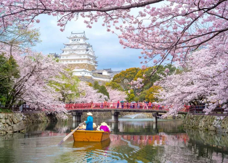 Japan has seen strong international travel demand in recent years, helped by a weak yen and the post-pandemic recovery in global tourism.