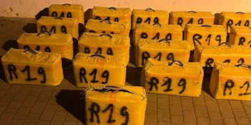 Morocco’s Police Seize Nearly 1.9 Tons of Cannabis in Two Separate Operations