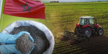 OCP Nutricrops to Supply Bangladesh with 1.3 Million Metric Tons of Fertilizers Under Renewed Deal