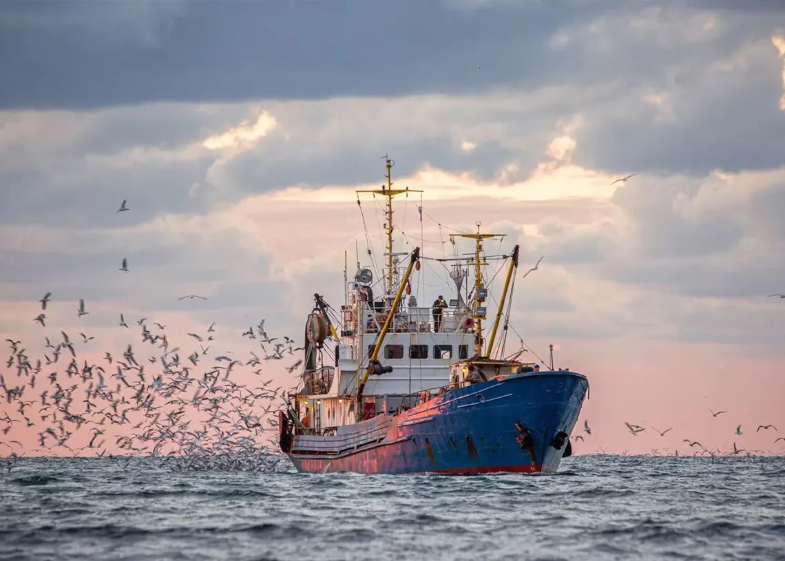 Tangier’s coastal and artisanal fishing landings reached 4,594 metric tons during the first half of 2026, marking a 92% increase compared with the same period in 2025.