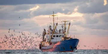 Tangier’s coastal and artisanal fishing landings reached 4,594 metric tons during the first half of 2026, marking a 92% increase compared with the same period in 2025.
