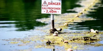 Drowning Deaths Rise Across France Amid Europe’s Intense Heatwave
