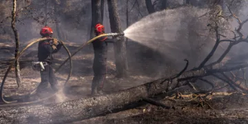 Wildfires in France and Spain Force Evacuation of Over 300,000 People