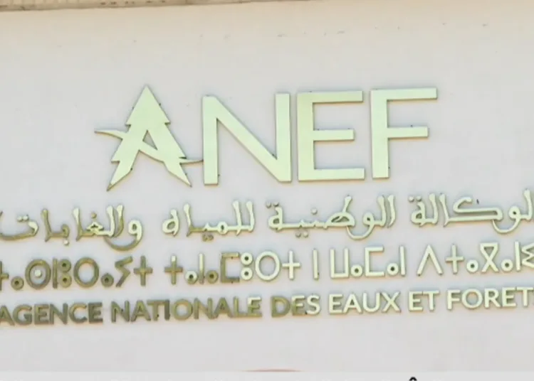 Morocco’s National Agency for Water and Forests (ANEF).
