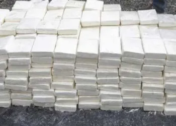 Morocco Seizes 61 Kg of Cocaine in Anti-Drug Trafficking Operation in Guerguerat