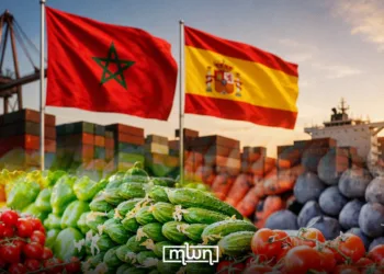 Morocco Tops Spain’s Market of Non-EU Fresh Produce Imports