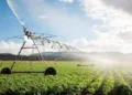 Morocco’s DGI Reveals Agricultural Tax Exemptions Applicable in 2026