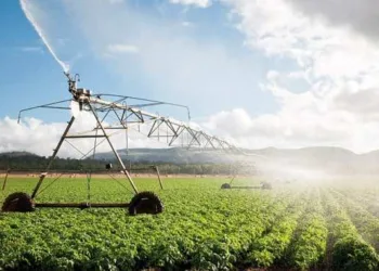 Morocco’s DGI Reveals Agricultural Tax Exemptions Applicable in 2026
