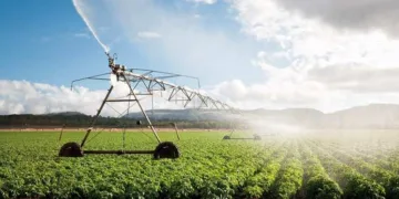 Morocco’s DGI Reveals Agricultural Tax Exemptions Applicable in 2026