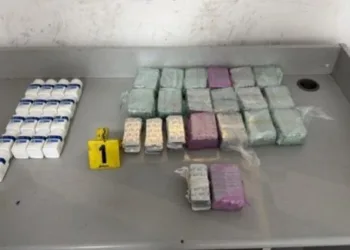 Morocco’s Police in Tanger Med Port Foil Attempt to Smuggle Over 14,000 Narcotic Pills