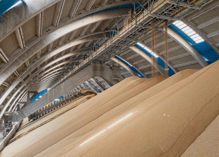 OCP Nutricrops, Koch Ag & Energy Solutions Expand Partnership with Fertilizer Venture