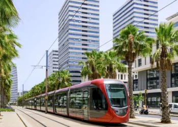 Morocco applies one of the highest statutory corporate income tax rates in the world, according to the OECD.