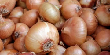 Morocco’s Onion Imports Reach Record Levels Amid Supply Pressures