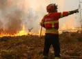 The Portuguese government declared a state of alert across the entire mainland from July 3 through July 6.