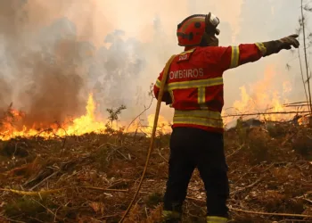 The Portuguese government declared a state of alert across the entire mainland from July 3 through July 6.