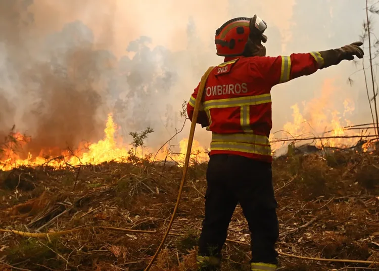 The Portuguese government declared a state of alert across the entire mainland from July 3 through July 6.