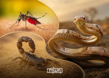 Every summer in Morocco, the same pattern repeats. Temperatures climb, humidity builds, and homes across the country face an unwelcome seasonal surge of scorpions, snakes, mosquitoes, and other pests that pose direct threats to public health.