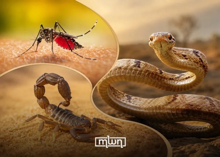 Every summer in Morocco, the same pattern repeats. Temperatures climb, humidity builds, and homes across the country face an unwelcome seasonal surge of scorpions, snakes, mosquitoes, and other pests that pose direct threats to public health.