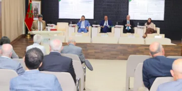 Morocco’s CESE Reviews Draft Opinions on Douars, Environmental Protection