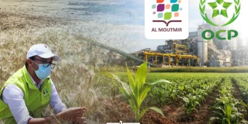 Al Moutmir OCP Morocco