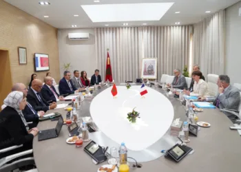 Morocco, France Expand Agricultural Partnership Through Research and Innovation
