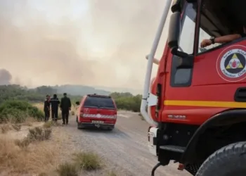 Algeria Investigates Deadly Wildfires, Arrests Four Suspects