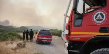 Algeria Investigates Deadly Wildfires, Arrests Four Suspects