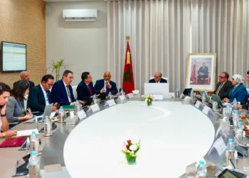 Morocco’s Agri-Food Exports Climb to $9.1 Billion in 2025
