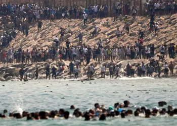 Ain Aouda Comes Alive With Tbourida in Throne Day Celebration