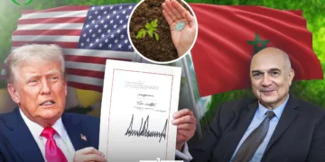 An illustration showing US President Donald Trump and OCP President Mostafa Terrab.
