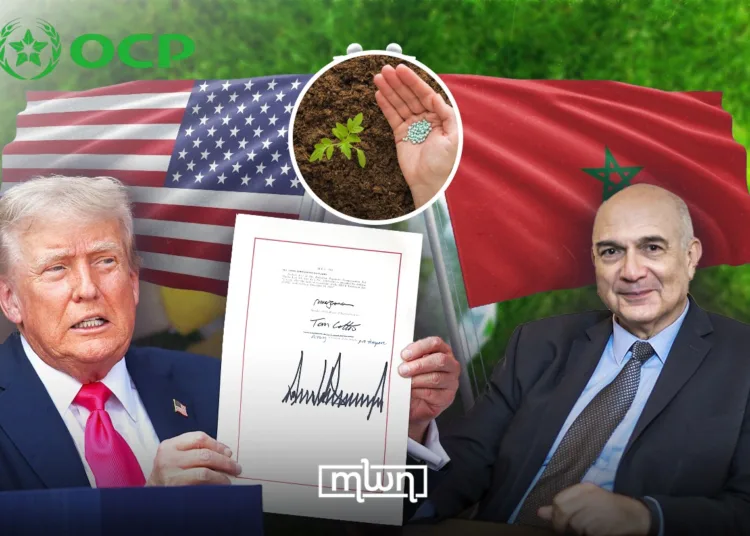 An illustration showing US President Donald Trump and OCP President Mostafa Terrab.