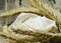 morocco subsidized flour
