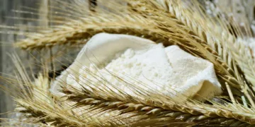 morocco subsidized flour