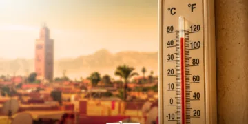 The Heat is Speaking: Are We Ready to Listen?