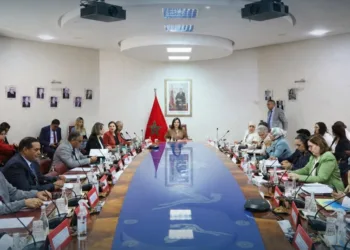 Morocco’s Aquaculture Sector Hits 244 Projects, Targets 90,000 Tons Annual Production