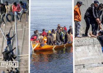 Bilateral Cooperation Drives Sharp Drop in Irregular Migration from Morocco to Spain
