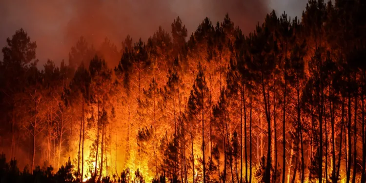 Morocco Issues Extreme, High Wildfire Risk Alerts Across Multiple Provinces