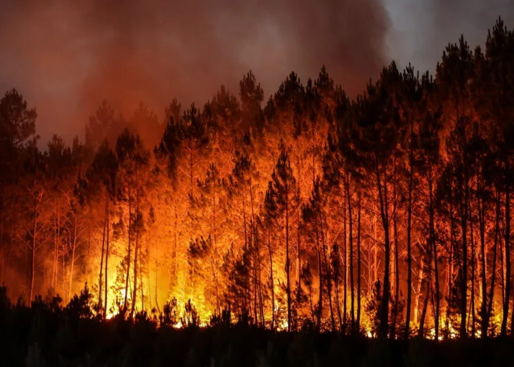 Morocco Issues Extreme, High Wildfire Risk Alerts Across Multiple Provinces