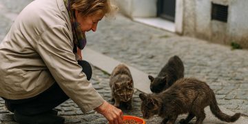 Law No. 19.25 on stray animals in Morocco