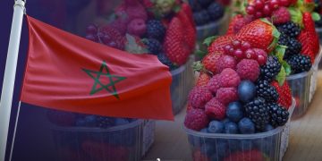 morocco norway raspberry blackberry