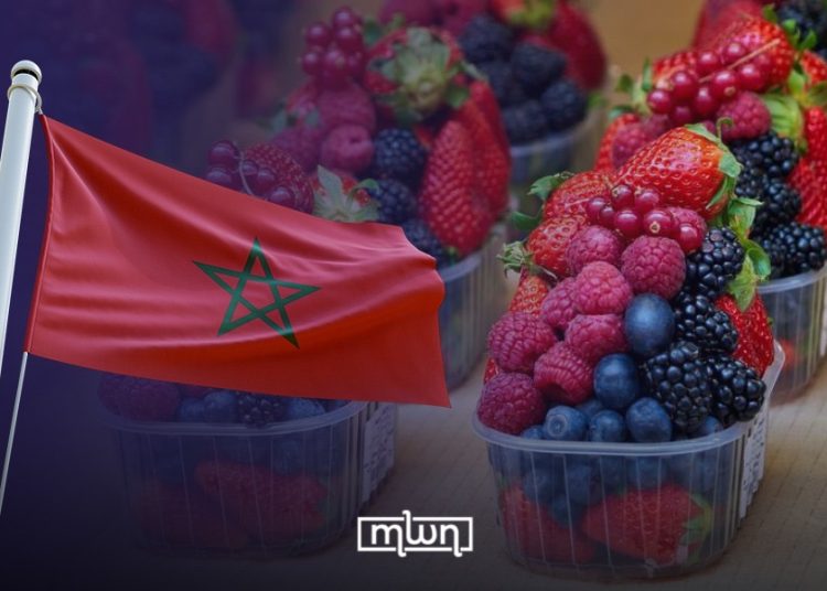 morocco norway raspberry blackberry