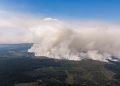 High Fens Wildfire Becomes Belgium’s Largest on Record