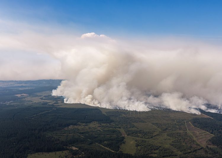 High Fens Wildfire Becomes Belgium’s Largest on Record