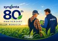 syngenta 80 morocco agriculture