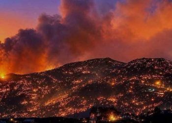 Algeria wildfires