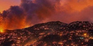 Algeria wildfires