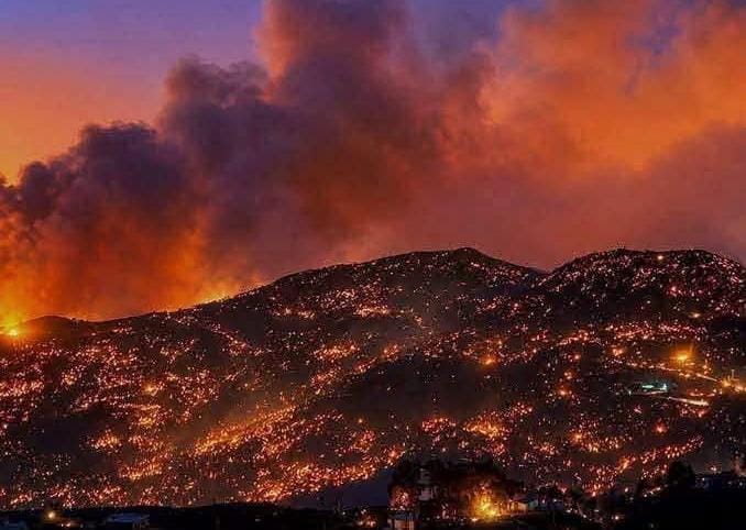 حرائق الغابات في الجزائر تقتل 12 شخصًا ورجال الإطفاء يكافحون العشرات من الحرائق
