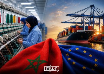 Morocco Holds 8th Place in EU Apparel Market, Unit Value Rises 11.8%