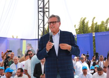 akhannouch elections sheep imports